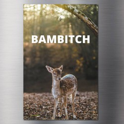 Bambitch